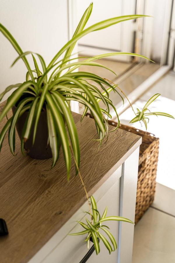 Villa Sainterne Le Bois de Nefles  Luaran gambar